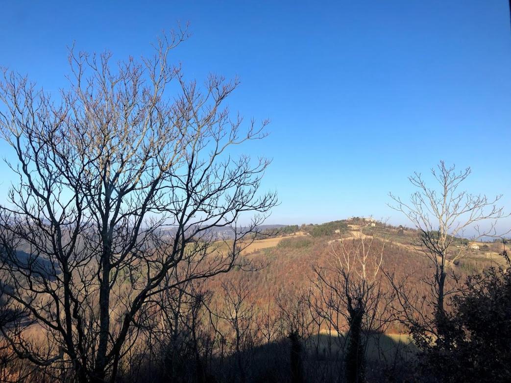 Hotel Il Borgo Di Olive Sismano Zewnętrze zdjęcie