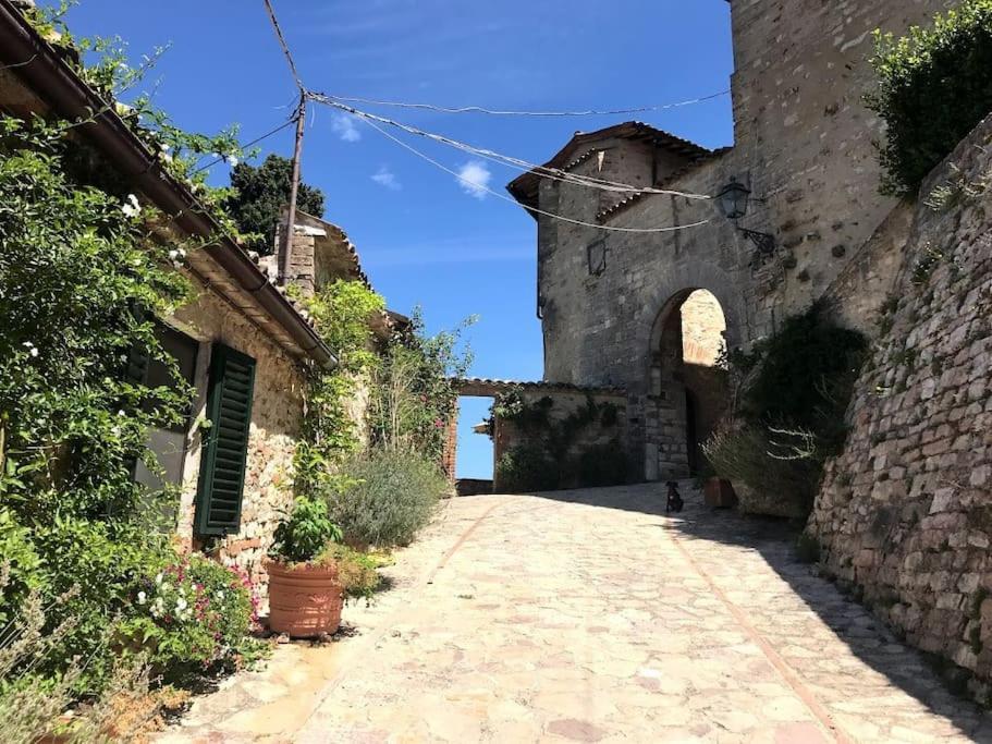 Hotel Il Borgo Di Olive Sismano Zewnętrze zdjęcie