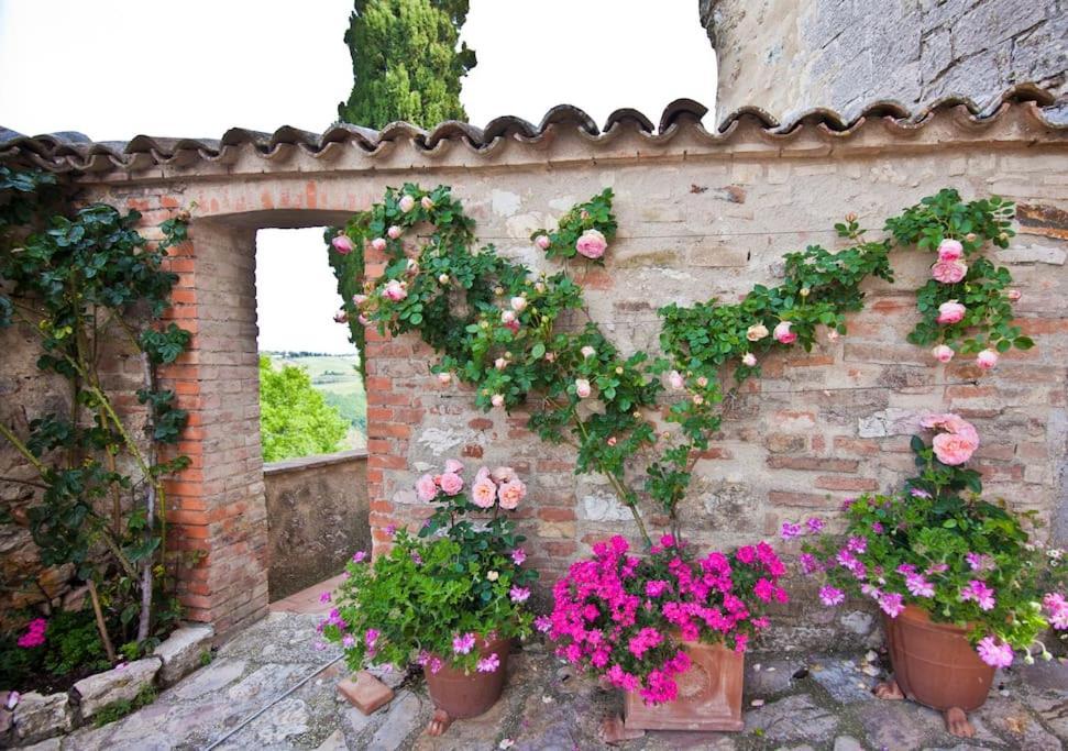 Hotel Il Borgo Di Olive Sismano Zewnętrze zdjęcie