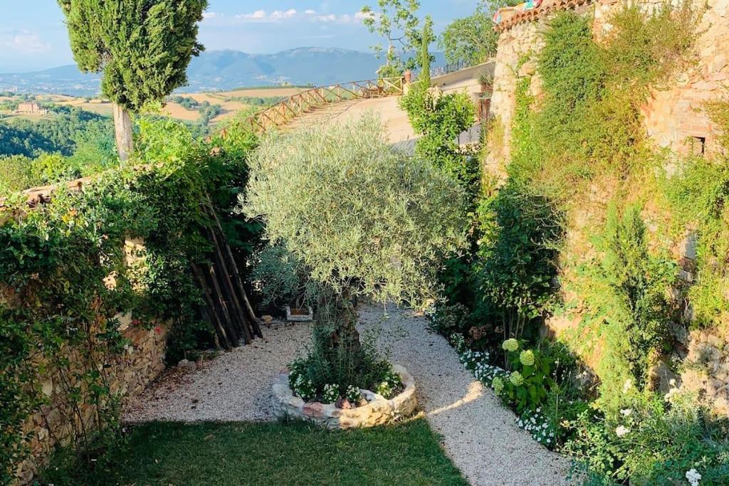 Hotel Il Borgo Di Olive Sismano Zewnętrze zdjęcie
