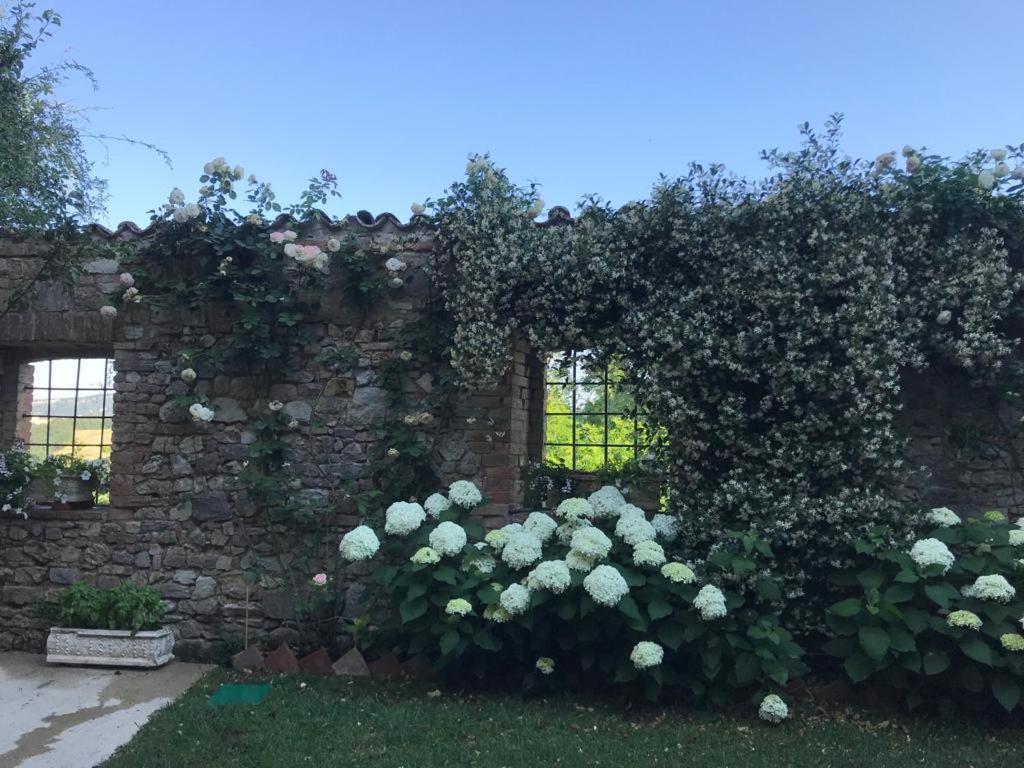 Hotel Il Borgo Di Olive Sismano Zewnętrze zdjęcie