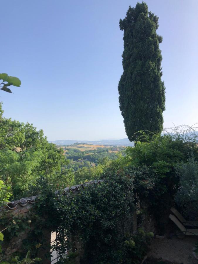 Hotel Il Borgo Di Olive Sismano Zewnętrze zdjęcie