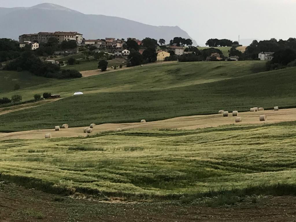 Hotel Il Borgo Di Olive Sismano Zewnętrze zdjęcie