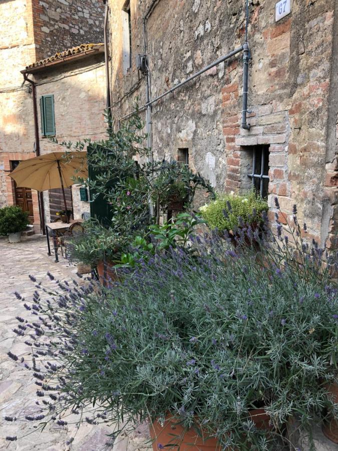 Hotel Il Borgo Di Olive Sismano Zewnętrze zdjęcie
