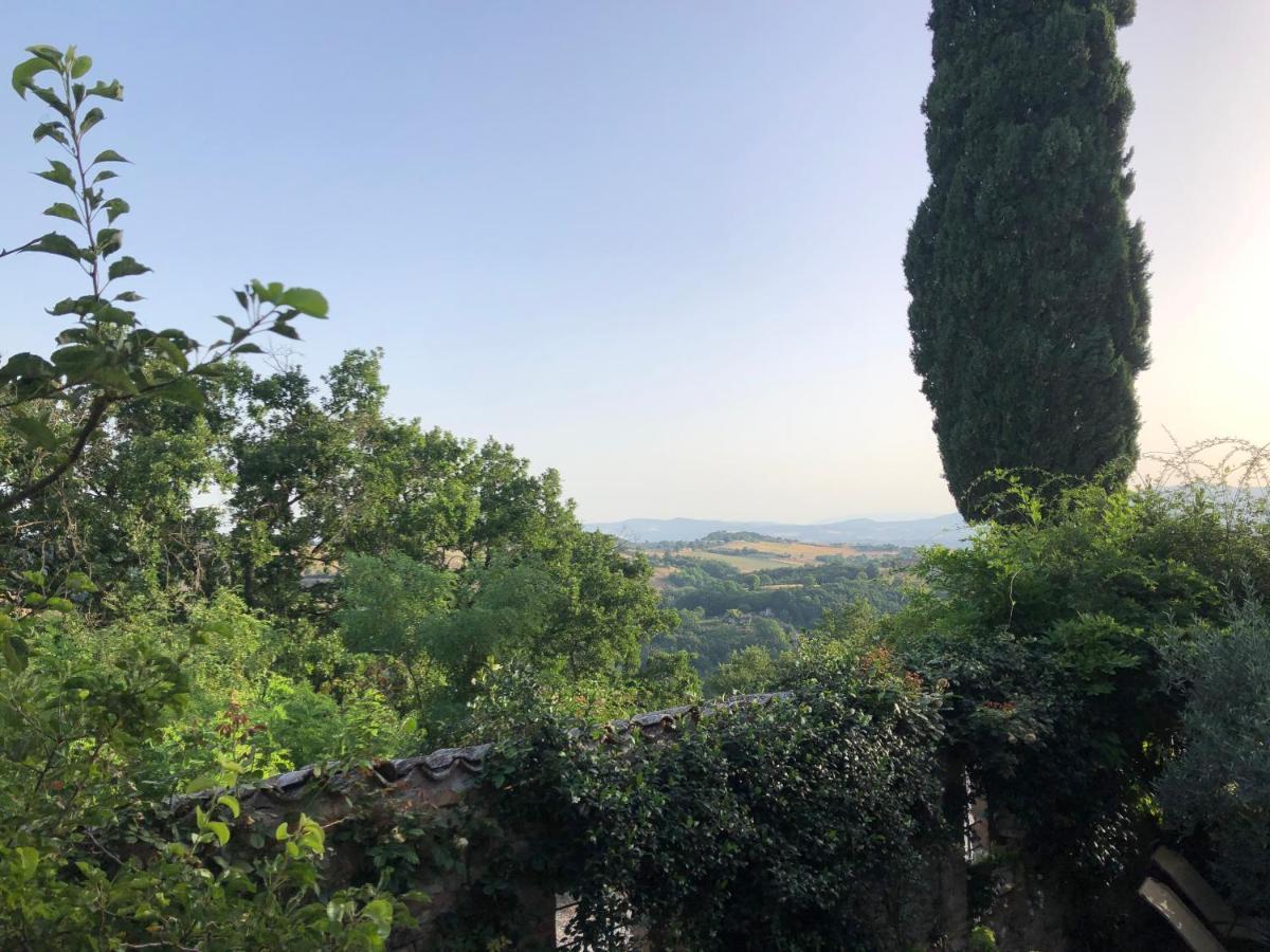 Hotel Il Borgo Di Olive Sismano Zewnętrze zdjęcie