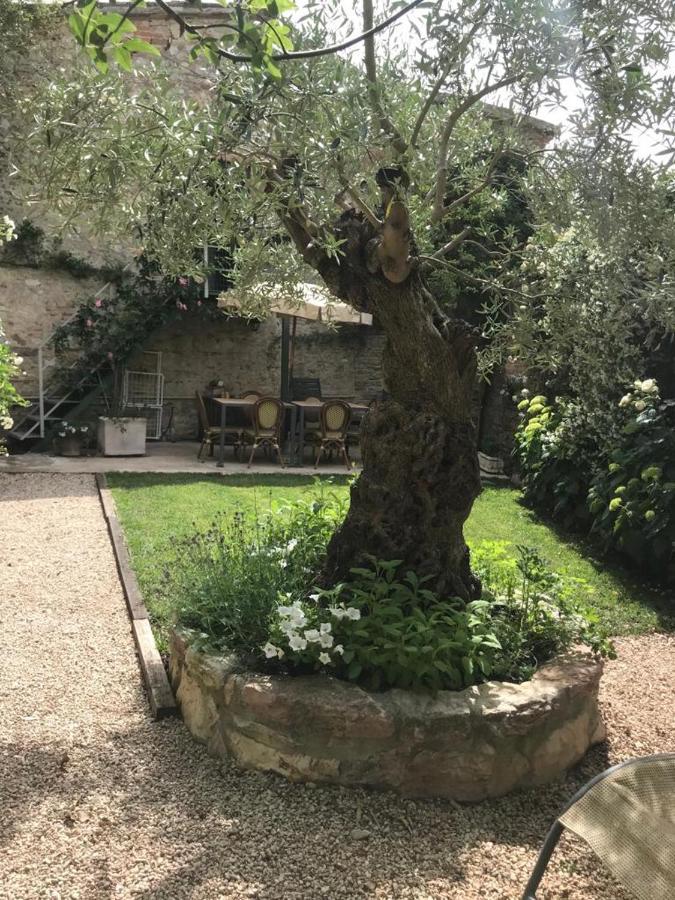 Hotel Il Borgo Di Olive Sismano Zewnętrze zdjęcie