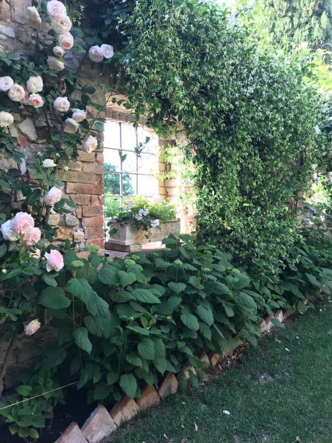 Hotel Il Borgo Di Olive Sismano Zewnętrze zdjęcie